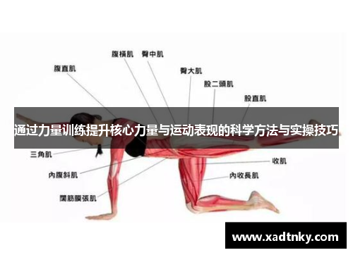 通过力量训练提升核心力量与运动表现的科学方法与实操技巧